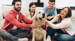 Mascotas en la familia