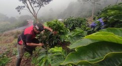 La extorsión funciona como un mecanismo cotidiano de renta criminal./ Foto archivo