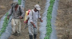 Fertilizantes. / Foto archivo