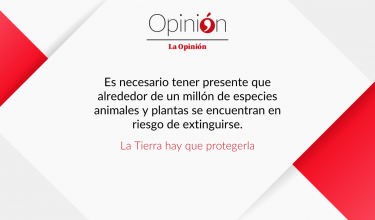 Plantilla Editorial nuevo redes.psd (74).png