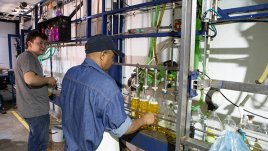 Trabajadores de Cúcuta. / Foto La Opinión