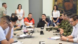 CONSEJO DE SEGURIDAD 