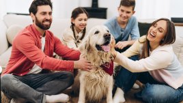 Mascotas en la familia