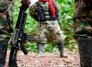 Disidencias de las Farc.