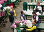 Flores de exportación Colombia.