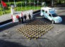 Usaban una ambulancia para transportar cocaína: Ejército decomisó 207 kilos