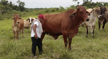 Las zonas rurales del país tienen un mayor déficit de vivienda que las zonas urbanas. Este escenario también se presenta en el departamento / Foto Archivo La Opinión