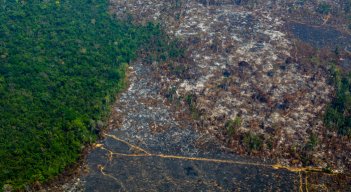 La deforestación provocón la pérdida de una superficie equivalente al tamaño de Paraguay. / Foto: AFP