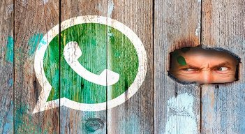 La actualización de las políticas de seguridad de WhatsApp incitó la migración masiva a otras apps de mensajería. Foto Cortesía