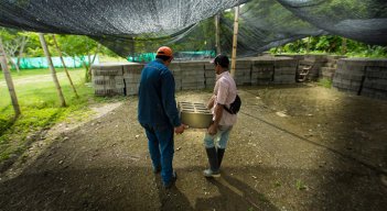 Todo el proceso es 100 % digital  por medio de  WhatsApp.