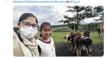 Los proyectos acuden al ciberespacio. / Foto: Cortesía