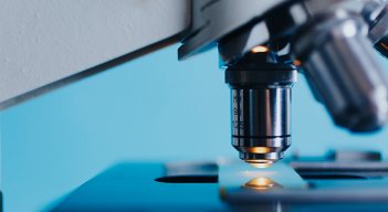Pruebas de laboratorios.