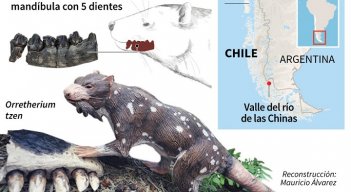 El animal vivió en La Patagonia. / Foto: AFP