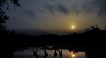 Migrantes cruzando por la trocha Los Mangos.