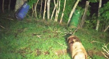 La Policía destacó que en las próximas horas se hará la destrucción controlada de estos artefactos. / Foto: Policía