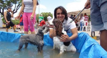 Víctor Caicedo, concejal de Cúcuta