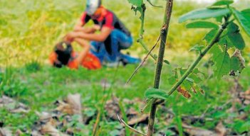154 personas han sido víctimas de delitos sexuales en Norte de Santander, entre enero y abril, de 2021.