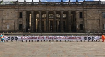  Red Papaz insiste para que se apruebe la Ley Comida Chatarra en Colombia. / Foto: Archivo