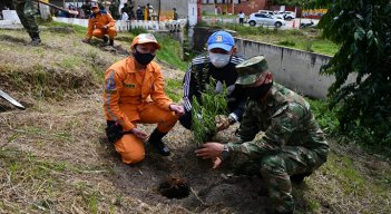 Pamplona-plantan-200-árboles