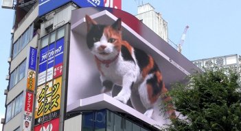 La 'mascota' 3D en Japón.
