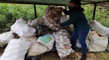 Se recolectaron más de 100 bultos de residuos de agroquímicos./ Cortesía 