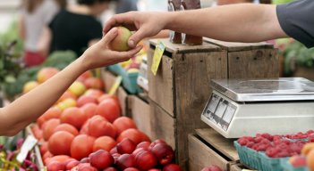 Se busca fortalecer los procesos productivos y de comercialización del sector hortifrutícula en Norte de Santander. / Foto: Archivo La Opinión