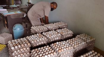 Las granjas medianas y pequeñas no pueden sobrevivir a la crisis del agro venezolano.