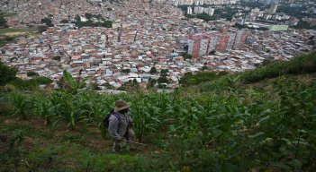 En los cerros de Caracas muchas familias han recurrido a las huertas caseras como alternativa para ajustar la alimentación. / Foto AFP