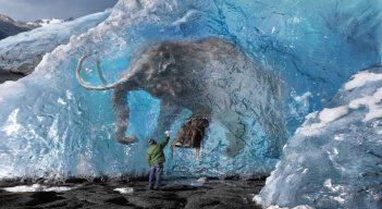 Tras las huellas de un mamut lanudo miles de años después./Foto: internet