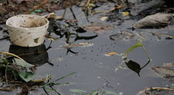 La mayoría de casos se presentan en Villa del Rosario, Los Patios y Cúcuta. / Cortesía/ La Opinión 