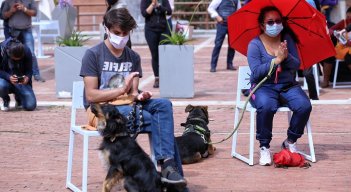 Los animales de compañía se han vuelto cada vez más importantes para las familias. /Foto archivo Colprensa