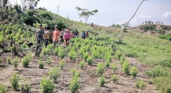 Recursos e insumos para proyectos de ciclo corto estarán completos a final del 2021. /Foto archivo La Opinión