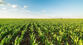El ecosistema de agricultura tecnológica en la región actualmente es liderado por Brasil y Argentina. / Foto: Cortesía