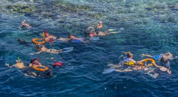 turistas que bucean y nadan en medio de los corales en peligro- /AFP