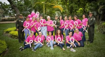 Fundación Dimensión Rosa.