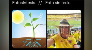 Los memes en redes sociales, tras el plagio de la tesis de Jennifer Arias 