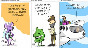 Cortocircuito | Vuelta a la normalidad