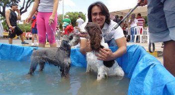 El concejal Víctor Caicedo ha logrado sacar adelante varios proyectos en favor de los animales./Foto Archivo La Opinión