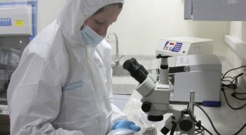 Este estudio examina el papel de una proteína, conocida como MC3R, relacionada con el desarrollo.