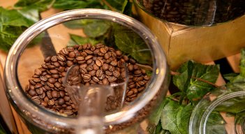 Producción de Café. 