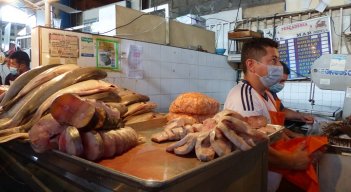Poca afluencia de compradores de pescado reportan algunos vendedores en Táchira. Foto Anggy Polanco / La Opinión