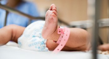 ¿Qué pasa si se come la placenta después del parto?