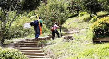 En un cerro, atracan a más de 50 personas./Foto: Colprensa