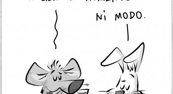 Excusas legislativas
