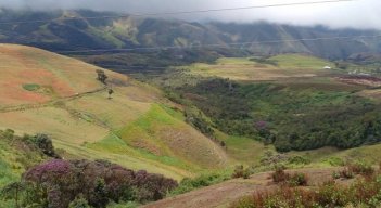 Por los confines de las cadenas montañosas de Uribante y Jáuregui buscan a familias desaparecidas. Fotos Cortesía /La Opinión 