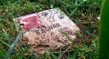 Cementerio de mascotas en el Táchira