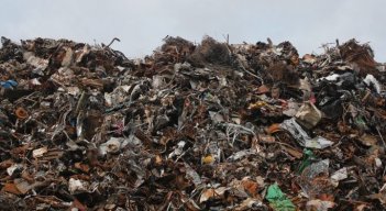 Economías lícitas pero irregulares en Venezuela