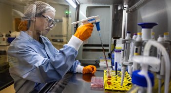 Piel artificial para cicatrizar las quemaduras