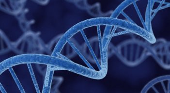 La genética describe 10.000 años de evolución de inmunidad humana./Foto: internet