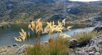 Resultados positivos en cultura ambiental sostenible 